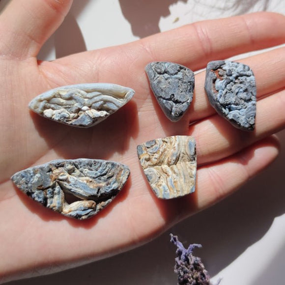 Druzy Blue-Gray Chalcedony Cabochons - Anima Mundi Crystals