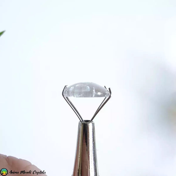 Epidote in Quartz Cabochon - Anima Mundi Crystals