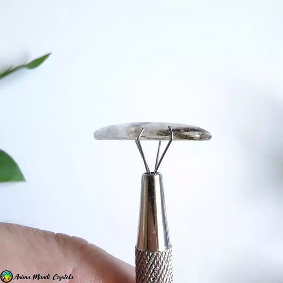 Epidote in Quartz Cabochon - Anima Mundi Crystals