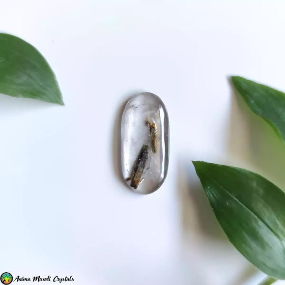 Epidote in Quartz Cabochon - Anima Mundi Crystals