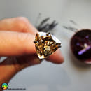 Faceted Citrine Trillion Cut Calibrated Gemstone - Anima Mundi Crystals