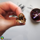 Faceted Citrine Trillion Cut Calibrated Gemstone - Anima Mundi Crystals