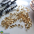 Faceted Citrine Trillion Cut Calibrated Gemstone - Anima Mundi Crystals