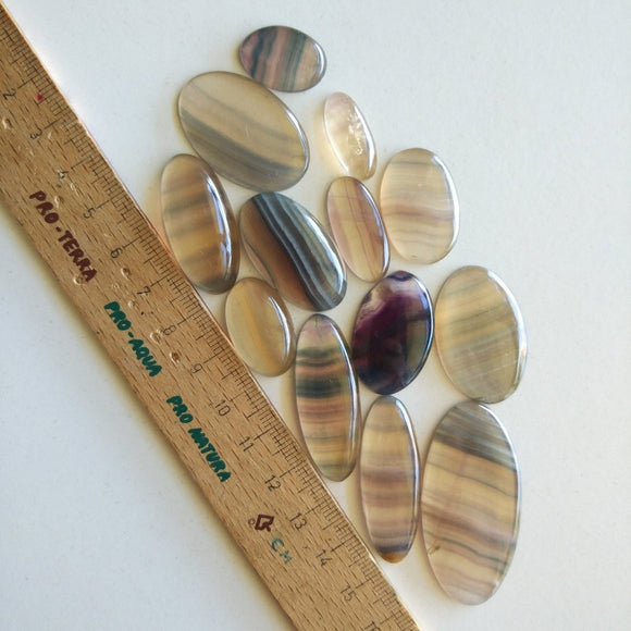 Fluorite Cabochon lot of 13 pieces - Anima Mundi Crystals