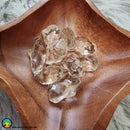 Genuine Citrine Tumbles - Anima Mundi Crystals