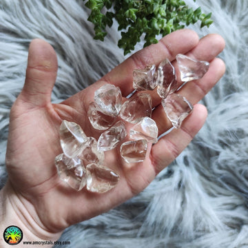 Genuine Citrine Tumbles - Anima Mundi Crystals