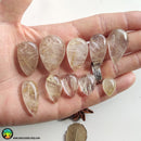 Gold Rutilated Quartz Tearshape Cabochons - Anima Mundi Crystals