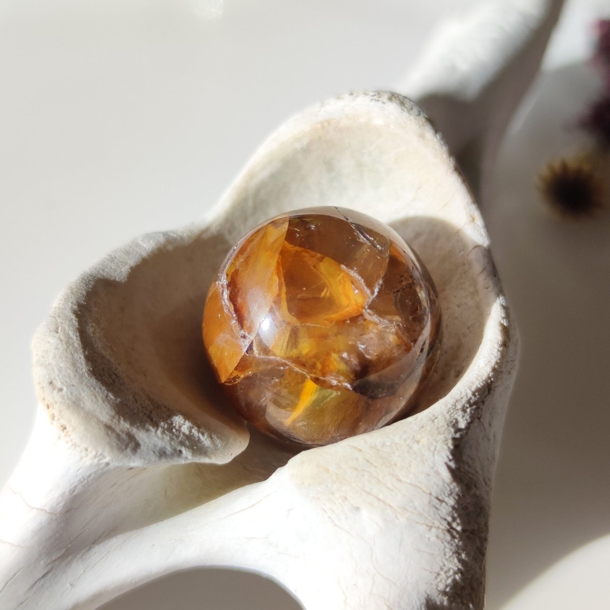 Cuarzo sanador dorado con esferas de inclusiones de dentrita - Cristales Anima Mundi