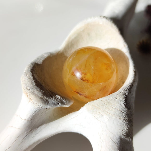 Golden Healer Quartz with Dentrite Inclusions Spheres - Anima Mundi Crystals