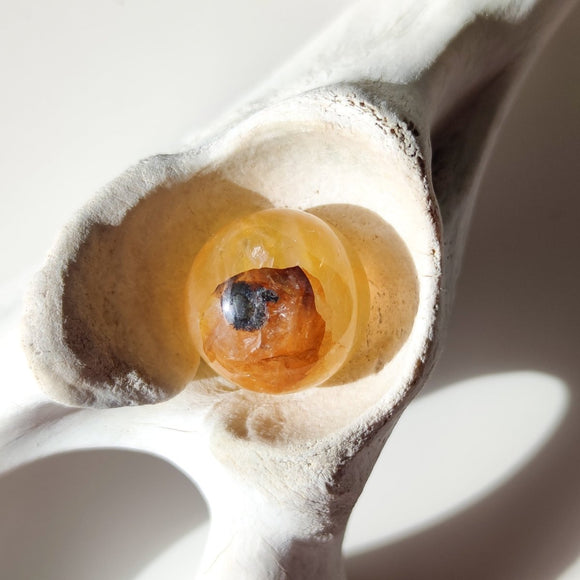 Golden Healer Quartz with Dentrite Inclusions Spheres - Anima Mundi Crystals