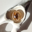 Golden Healer Quartz with Dentrite Inclusions Spheres - Anima Mundi Crystals