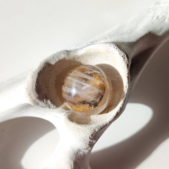 Golden Healer Quartz with Dentrite Inclusions Spheres - Anima Mundi Crystals