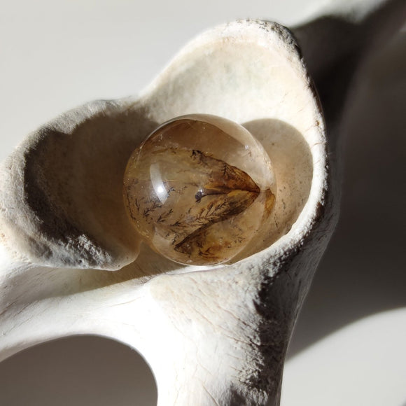 Golden Healer Quartz with Dentrite Inclusions Spheres - Anima Mundi Crystals