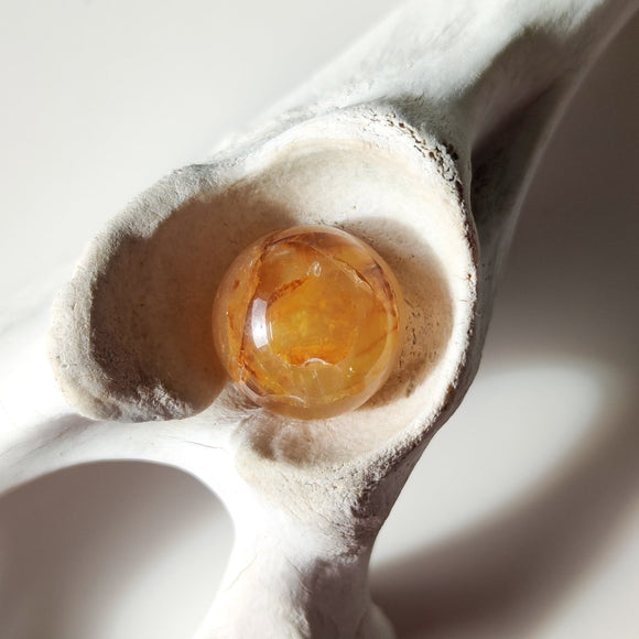 Golden Healer Quartz with Dentrite Inclusions Spheres - Anima Mundi Crystals