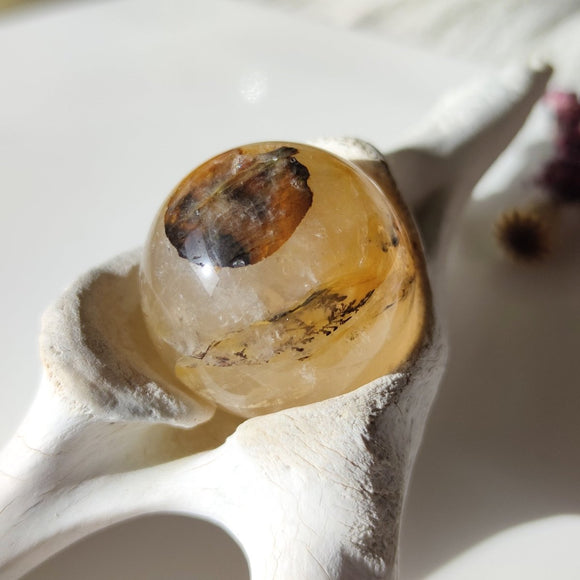 Golden Healer Quartz with Dentrite Inclusions Spheres - Anima Mundi Crystals