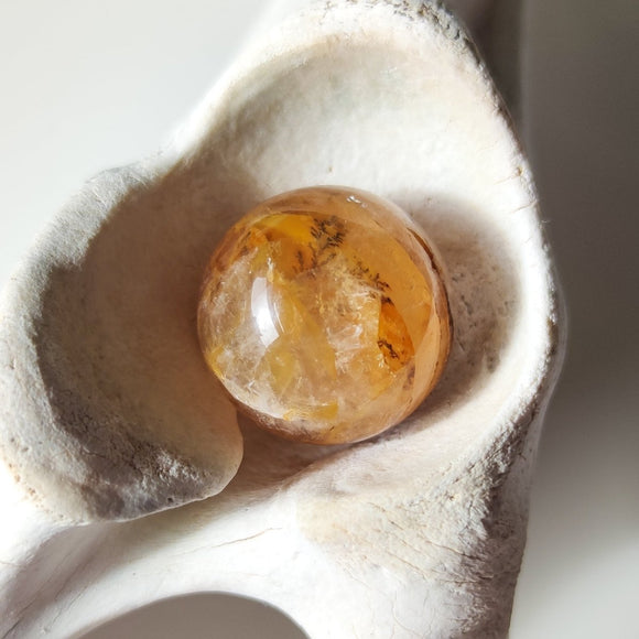 Golden Healer Quartz with Dentrite Inclusions Spheres - Anima Mundi Crystals