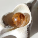 Golden Healer Quartz with Dentrite Inclusions Spheres - Anima Mundi Crystals