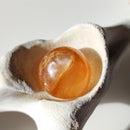 Golden Healer Quartz with Dentrite Inclusions Spheres - Anima Mundi Crystals