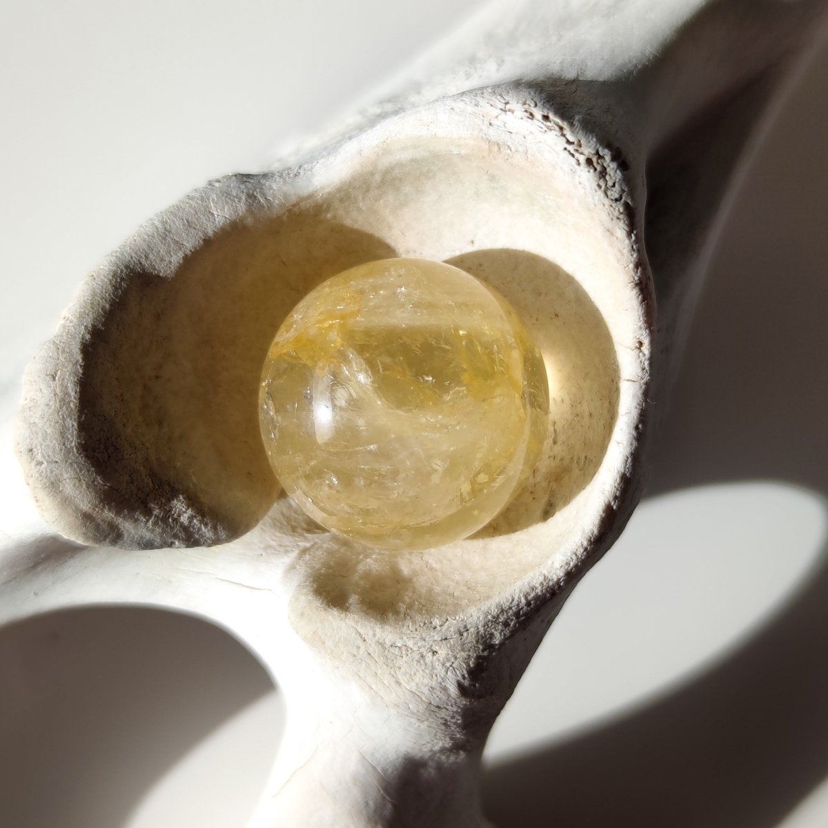 Cuarzo sanador dorado con esferas de inclusiones de dentrita - Cristales Anima Mundi