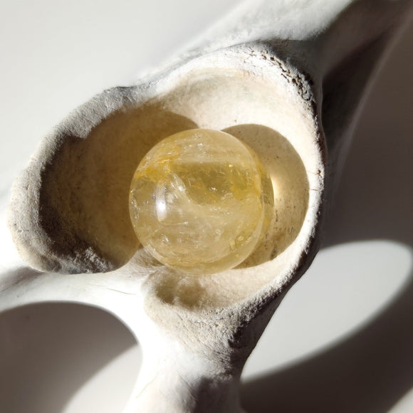 Golden Healer Quartz with Dentrite Inclusions Spheres - Anima Mundi Crystals