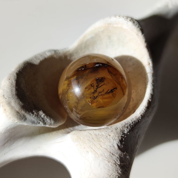 Golden Healer Quartz with Dentrite Inclusions Spheres - Anima Mundi Crystals