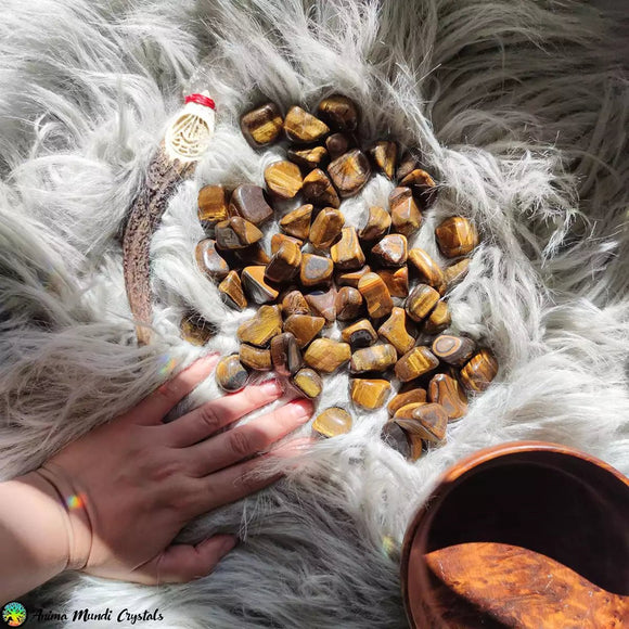 Golden Tiger Eye Tumblestones - Anima Mundi Crystals