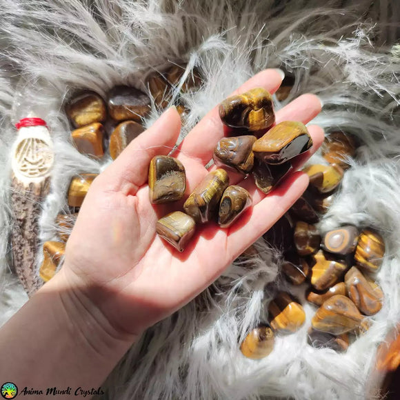 Golden Tiger Eye Tumblestones - Anima Mundi Crystals