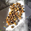 Golden Tiger Eye Tumblestones - Anima Mundi Crystals
