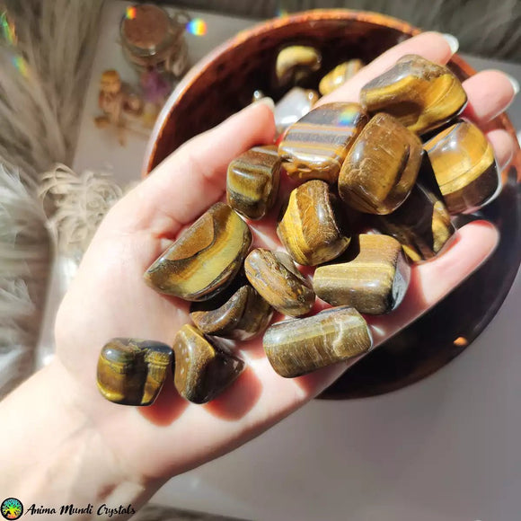 Golden Tiger Eye Tumblestones - Anima Mundi Crystals