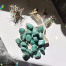 Green Quartzite- Aventurine Tumblestones - Anima Mundi Crystals
