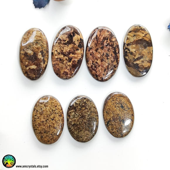 High Grade Bronzite Oval Cabochons Lot 1 - Anima Mundi Crystals