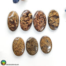 High Grade Bronzite Oval Cabochons Lot 1 - Anima Mundi Crystals