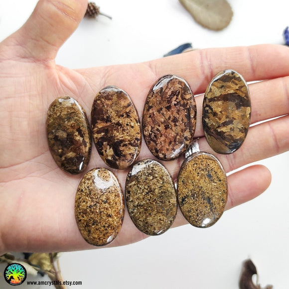 High Grade Bronzite Oval Cabochons Lot 1 - Anima Mundi Crystals