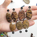 High Grade Bronzite Oval Cabochons Lot 1 - Anima Mundi Crystals
