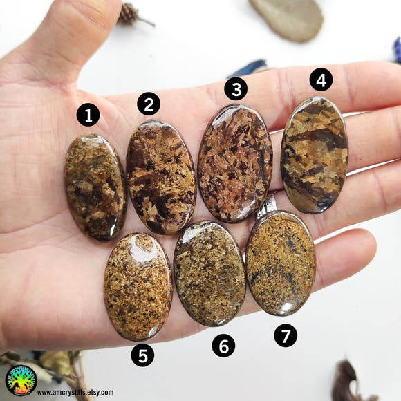 High Grade Bronzite Oval Cabochons Lot 1 - Anima Mundi Crystals