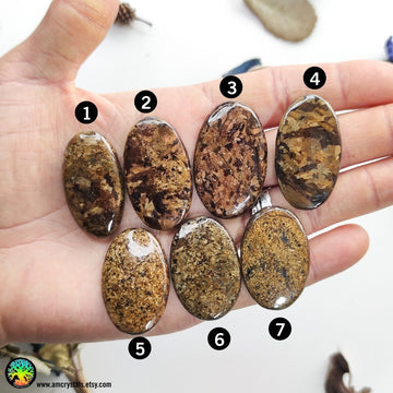 High Grade Bronzite Oval Cabochons Lot 1 - Anima Mundi Crystals