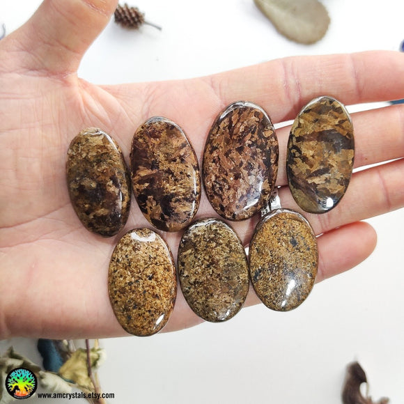 High Grade Bronzite Oval Cabochons Lot 1 - Anima Mundi Crystals