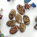 High Grade Bronzite Oval Cabochons Lot 1 - Anima Mundi Crystals