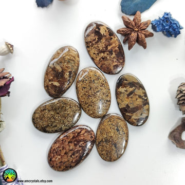 High Grade Bronzite Oval Cabochons Lot 1 - Anima Mundi Crystals