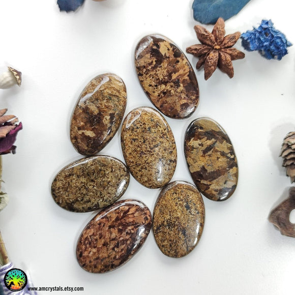 High Grade Bronzite Oval Cabochons Lot 1 - Anima Mundi Crystals