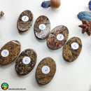 High Grade Bronzite Oval Cabochons Lot 1 - Anima Mundi Crystals