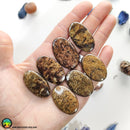 High Grade Bronzite Oval Cabochons Lot 1 - Anima Mundi Crystals