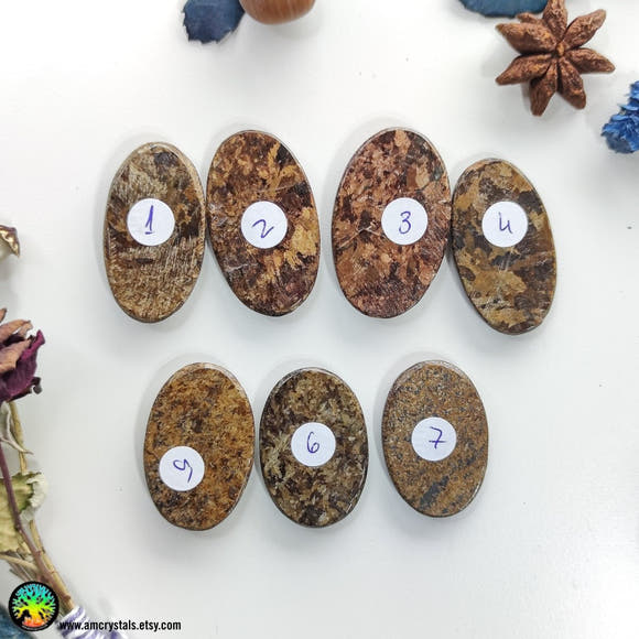 High Grade Bronzite Oval Cabochons Lot 1 - Anima Mundi Crystals