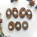 High Grade Bronzite Oval Cabochons Lot 1 - Anima Mundi Crystals