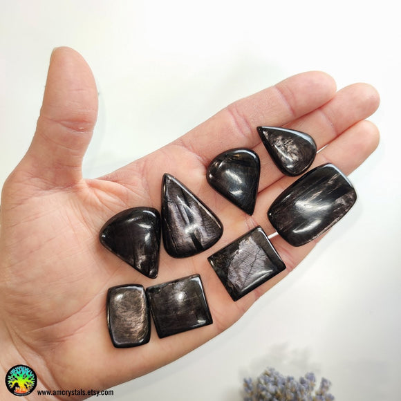 Hypersthene Mix Shape Cabochon - Anima Mundi Crystals