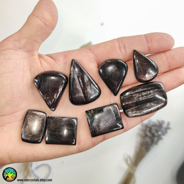 Hypersthene Mix Shape Cabochon - Anima Mundi Crystals