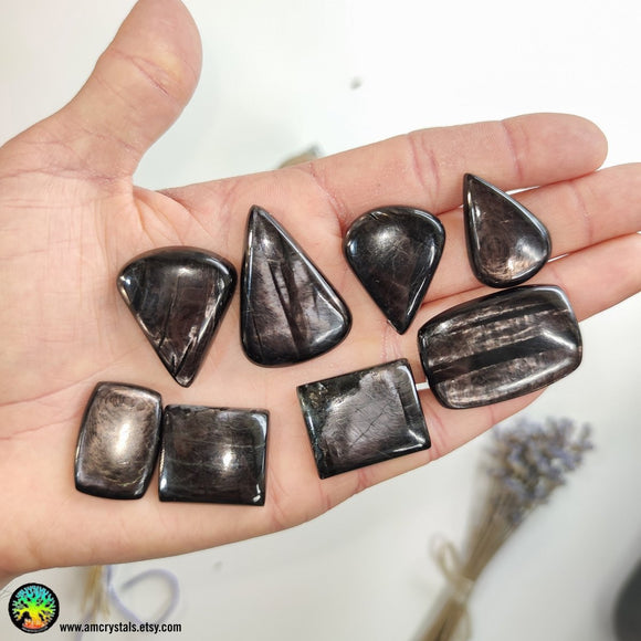 Hypersthene Mix Shape Cabochon - Anima Mundi Crystals