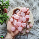 Tumbled Rose Quartz · Lot of 2-1