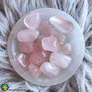 Tumbled Rose Quartz · Lot of 2-4