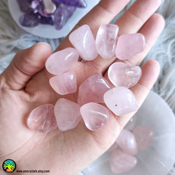 Tumbled Rose Quartz · Lot of 2